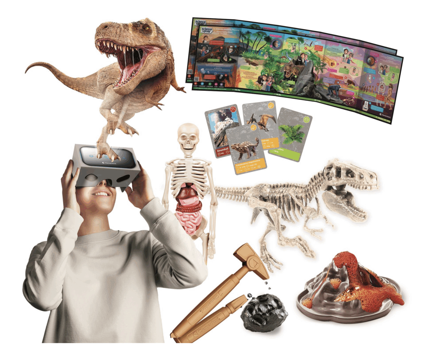 History of life on Earth